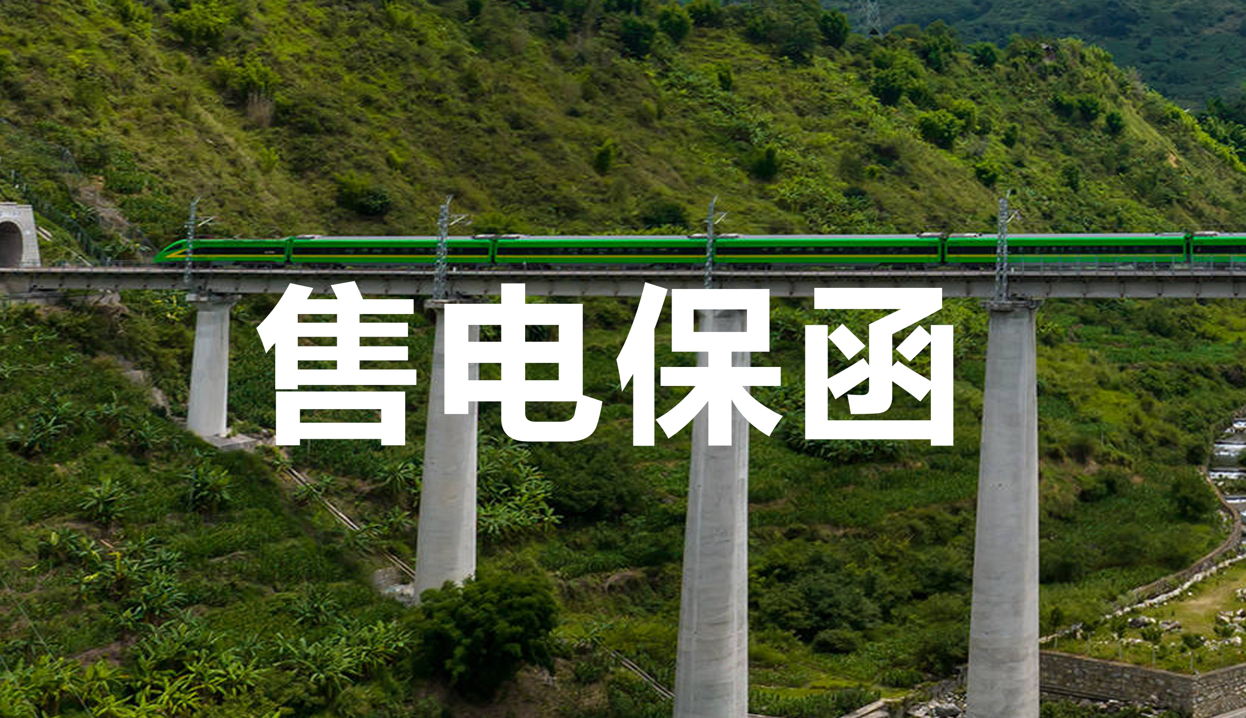 售电保函