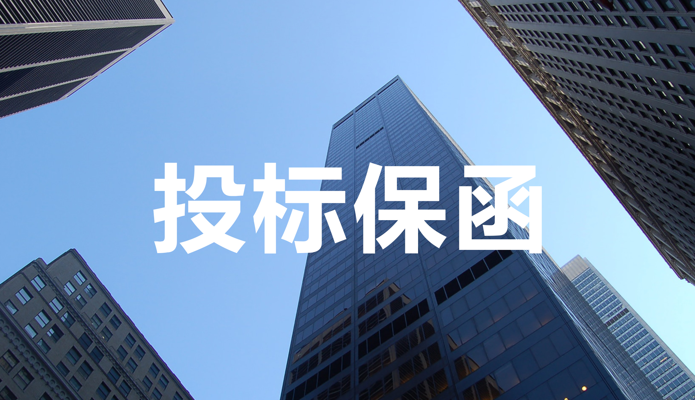投标保函