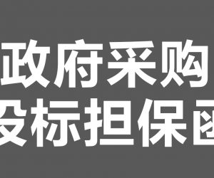 政府采购投标担保函如何办理？