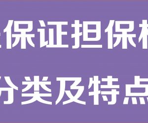 我国工程保证担保机构分类及特点