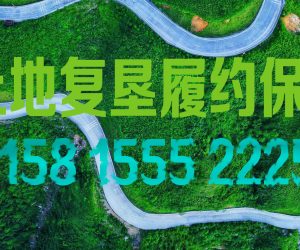 第一笔土地复垦履约保函5年