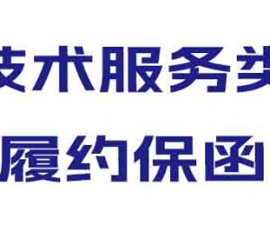 办理技术服务类履约保函