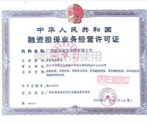 办理融资担保公司见索即付履约保函