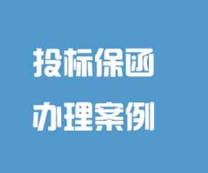 办理国人民解放军总医院投标保证金电子保函