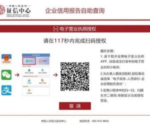 企业信用报告查询指引