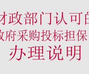 办理财政部门认可的政府采购投标担保函