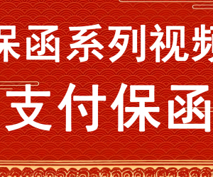 支付保函办理说明视频