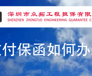 支付保函如何办理